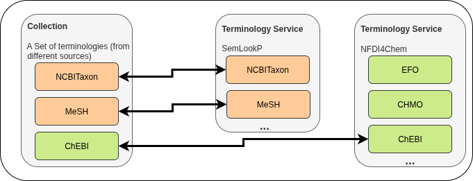 example of a terminology collection